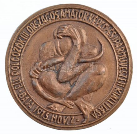 1975. 'Eü. Dolgozók III. Országos Amatőr Képző- és Iparművészeti Kiállítása - Baja 1975. nov. 2.' öntött Br emlékérem (~135mm) T:2