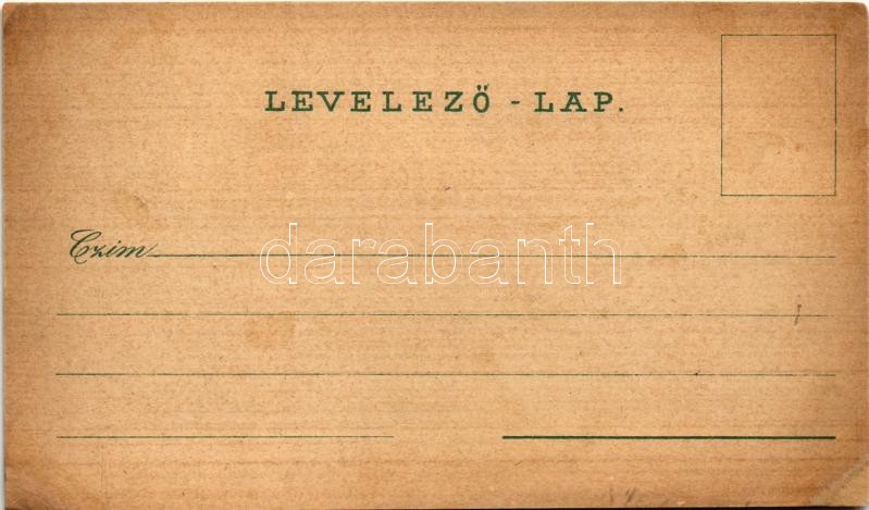 Gölnicbánya, Göllnitz, Gelnica; Karl Schwidernoch Art Nouveau, floral, litho (r) - Image 2