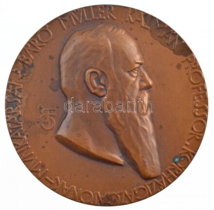 Beck Ötvös Fülöp (1873-1945) 1911. 'Báró Müller Kálmán Professor Kórházigazgatónak - Munkatársai / 1887-1911' kétoldalas bronz plakett (70mm) T:2 patina, kis karc / Hungary 1911. 'For Professor Baron Kálmán Müller Hospital