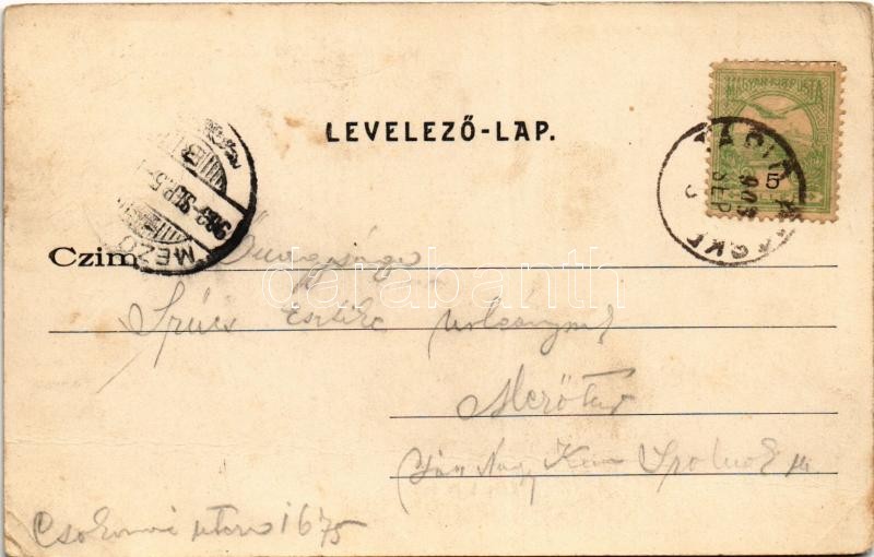 1903 Tápiószentmárton, Blaskovics Ernő kastélya, Római katolikus templom, Schvartz Kálmán üzlete (EK) - Image 2