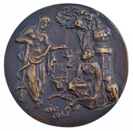 Csúcs Ferenc (1905-1999) 1963. 'A barmokat orvosló tudomány közönséges tanítója - Tolnay Sándor 1747-1818 - emlékére a hazai állatorvosi oktatás 175 évfor. alkalmából 1962' kétoldalas Br plakett, peremen jelzett sorszámmal '7'