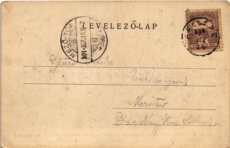 1901 Görcsöny, Római katolikus plébániaház. Az 1901. szeptember 14-18-ik napjaiban megtartott nagy hadgyakorlatok alkalmával Ő Királyi Fenségének a román trónörökös úrnak lakhelye (EK) - Image 2