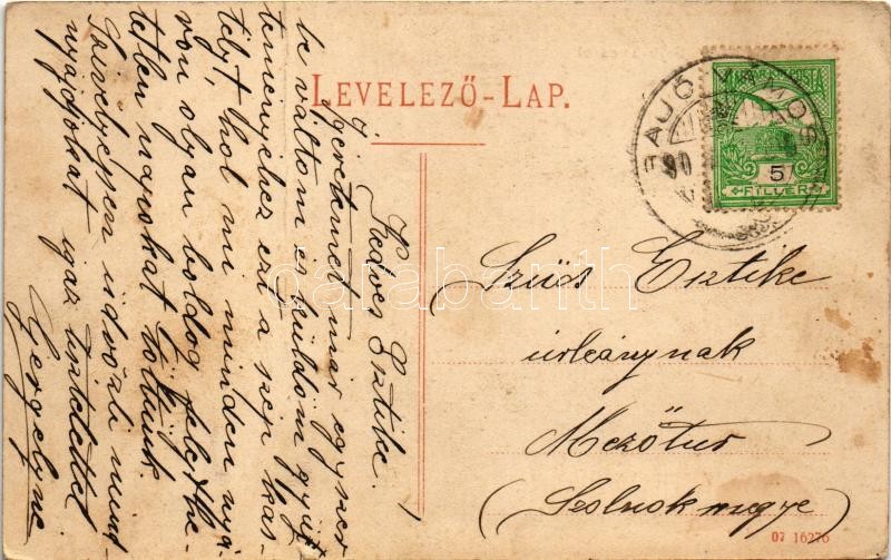 1909 Sajóvámos, Edelsheim-Gyulai kastély (fa) - Image 2