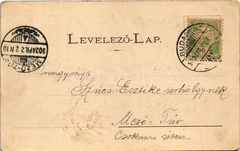 1902 Dobsina, Dobschau; Polgári iskola, városház, Jérbarlangi nagyterem, belső. Lindner Blanka kiadása / school, town hall, ice cave interior. Art Nouveau, floral (EK) - Image 2