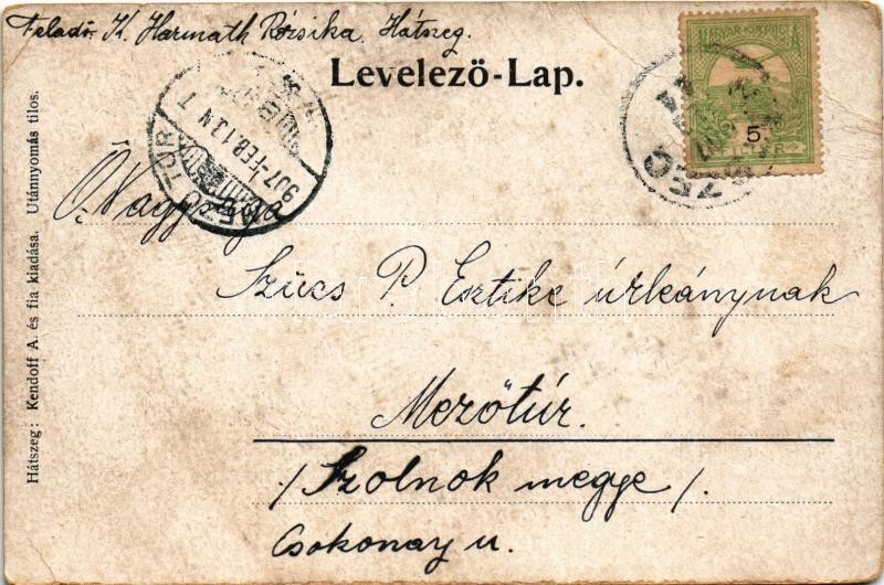 1907 Alsófarkadin, Farkadin, General Berthelot, Unirea, Farcadinul de Jos (Hunyad); Gróf Lónyai kastély. Kendoff A. és fia kiadása / castle (EB) - Image 2