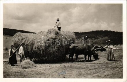 Magyarvista, Vista, Vistea; Szénagyűjtés, folklór / Transylvanian folklore, hay collecting (ragasztónyom / glue marks)