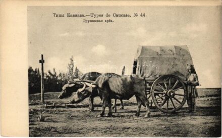 Types de Caucase / Georgian folklore, ox cart. Phototype Scherer, Nabholz & Co.