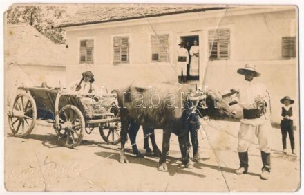 Ökrös szekér, erdélyi folklór / Transylvanian folklore, ox cart. Fritz Römischer (Bistritz, Bistrita) photo (EM)
