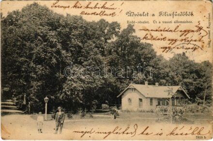 1900 Félixfürdő, Baile Felix; Erdő részlet, út a vasútállomáshoz. Láng József kiadása / forest, road to the railway station (EK)