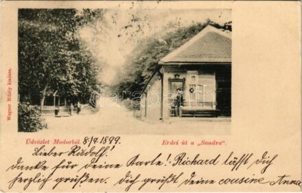 1899 (Vorläufer) Modor, Modra; Erdei út a 'Sandra'. Wagner Mihály kiadása / forest road (EK)