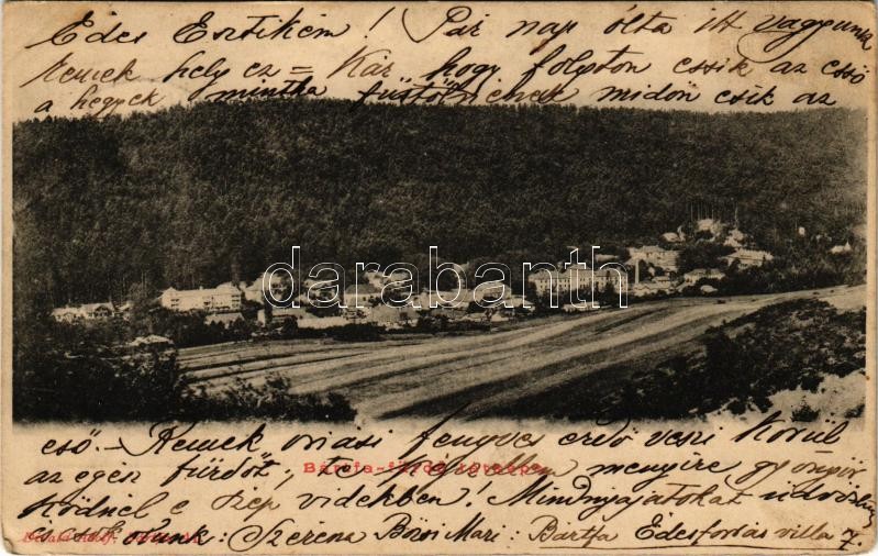 1903 Bártfafürdő, Bardejovské Kúpele, Bardiov, Bardejov; látkép. Divald Adolf 41. / general view, spa (EK)