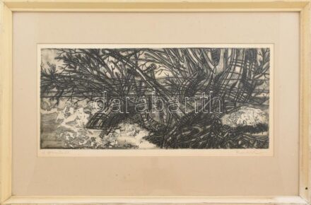 Raszler Károly (1925-2005): A Dunánál. Rézkarc, papír, jelzett. Üvegezett fakeretben, 21×48 cm