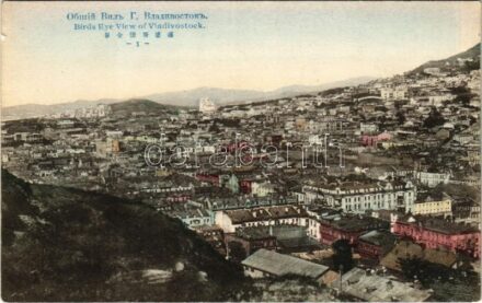Vladivostok, Birds Eye view