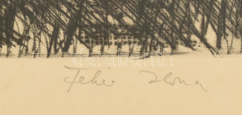 Fehér Ilona (1913-1983): Csongrád környéki táj. Rézkarc, papír, jelzett. Üvegezett fakeretben. 29x39 cm - Image 2