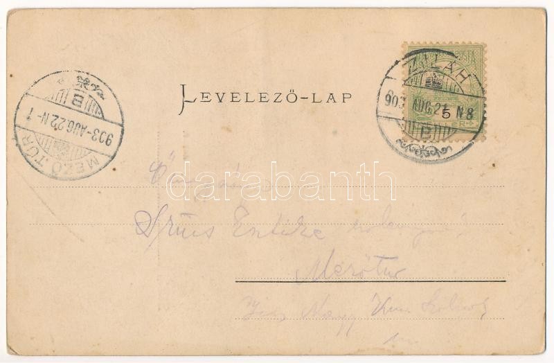 1903 Zilah, Zalau; Wesselényi szobor, étterem, szálloda. Seres Samu kiadása / statue, restaurant, hotel (EK) - Image 2