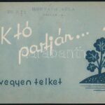 cca 1930 Balatonföldvárt bemutató képes füzet A Fürdőegyesület népszerűsítő reklámja 16p.