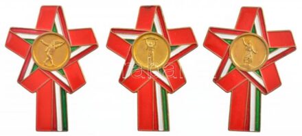 ~1970-1980. 'Forradalmi Ifjúsági Napok' jelvény tétel (3xklf) T:1-