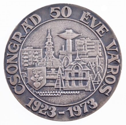 1973. 'Csongrád 50 éve város 1923-1973' ezüstpatinázott fém érem (65mm) T:1- patina