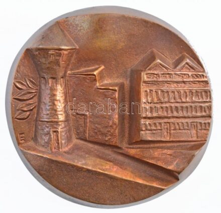 DN 'Mezőgép Érd' kétoldalas, öntött bronz plakett (~104x108mm) T:1-