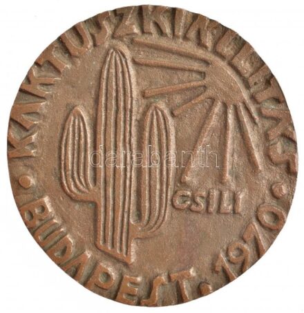 1970. 'Kaktuszkiállítás Budapest - Csili (Művelődési Központ) / PVMK Az első budapesti kaktuszkiállítás' kétoldalas Br emlékérem (80x77mm) T:2 patina