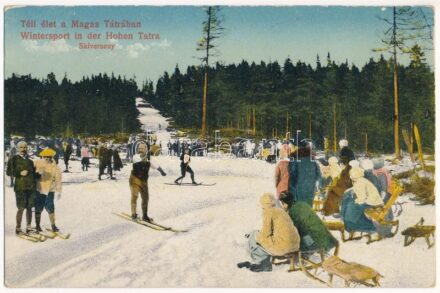 Tátra, Magas-Tátra, Vysoké Tatry; Síverseny, téli sport / ski race, winter sport, sled (EK)