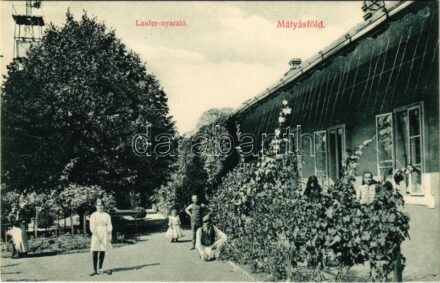 Budapest XVI. Mátyásföld, Laufer nyaraló