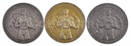 Berecz Gyula (1894-1951) 1938. 'Komárom Visszatérésének Tornász Vándordíja - 1938. nov. 6' egyoldalú fém emlékérmek (3xklf) (49mm) T:2 patina, az egyik hátoldalán sérülés