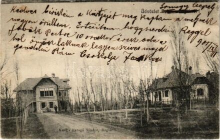 1905 Balatonboglár, Istenhozott villa, nyaralók. Faragó Sándor kiadása (EK)