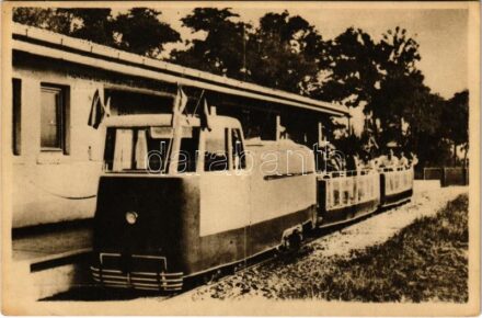 Bucharest, Bukarest, Bucuresti, Bucuresci; Parcul Tei. Trenul copiilor / Children's Railway, train (EK)