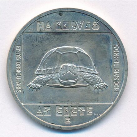 1985. 100Ft Cu-Ni-Zn 'Természetvédelem - Mocsári Teknős' kapszulában T:BU Adamo EM82