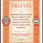 1970 Az MSZMP és a Magyar-Szovjet Baráti Társaság oklevelei, 2 db - Image 2