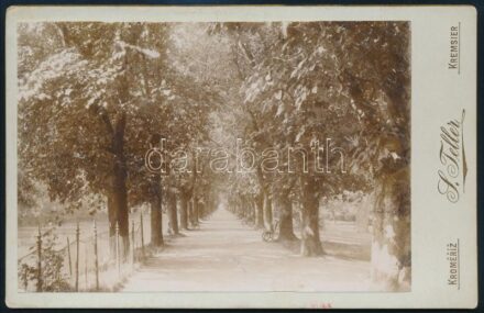 cca 1890 Kremsier Kromeriz kabinetfotó 16x11 cm
