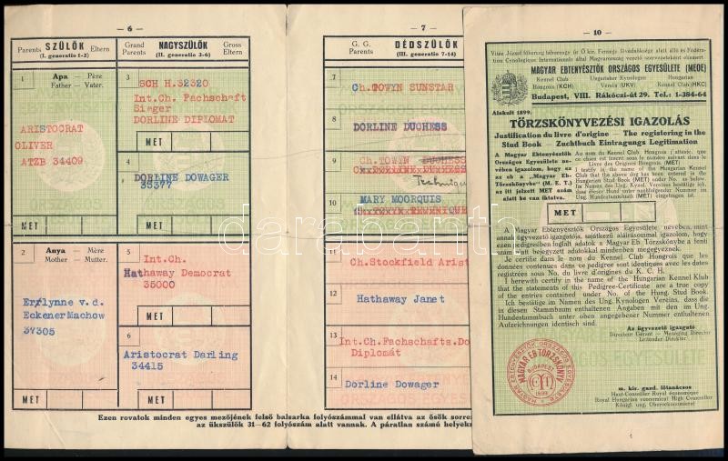 1911 Ranco v.d. Eckener Machow nevű eb származási lapja, amely 4. generációig van vezetve - Image 2