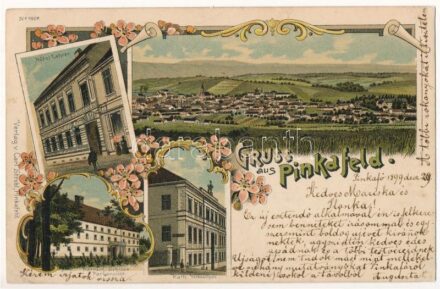 1899 (Vorläufer) Pinkafő, Pinkafeld; Hotel Lehner, Herrsch. Schloss Parkansicht, Kath. Volksschule / Lehner szálloda, kastély, katolikus népiskola. Carl Strobl kiadása / hotel, castle, Catholic school. Art Nouveau, floral, litho (r)
