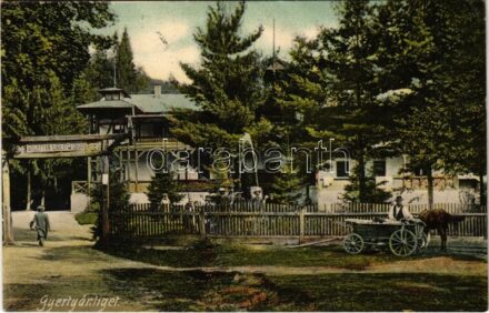 1907 Gyertyánliget, Polyana-Gyertyánliget, Kabola Polyána, Kobyletska Poliana (Máramaros); fürdő. Berger kiadása / spa, bath (EK)