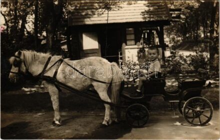 1941 Budapest XIV. Állatkert, gyerekhintó. photo