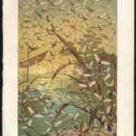 cca 1900 Kb 17 db litografált lepke, bogár, rovar,a Brehmből 25x17 cm - Image 2