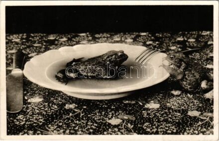1942 Miskolc, Pislog, mint miskolci kocsonyában a béka (EK)