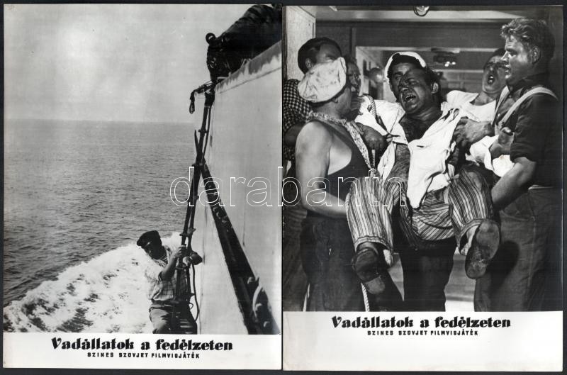 cca 1961 ,,Vadállatok a fedélzeten' című szovjet film jelenetei és szereplői, 17 db vintage produkciós filmfotó, ezüst zselatinos fotópapíron, 18x24 cm - Image 2