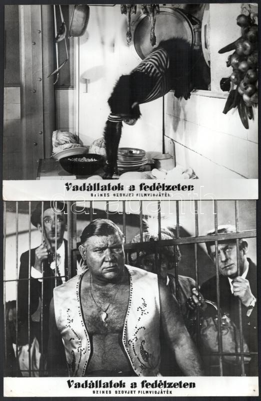 cca 1961 ,,Vadállatok a fedélzeten' című szovjet film jelenetei és szereplői, 17 db vintage produkciós filmfotó, ezüst zselatinos fotópapíron, 18x24 cm - Image 4