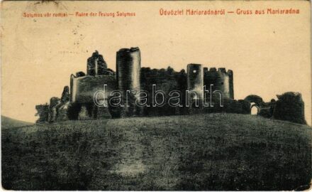 1908 Máriaradna, Radna (Lippa, Lipova); Solymos vár romjai. W.L. (?) 3015. Csauscher József kiadása / Ruine der Festung Solymos / Soimos castle ruins (EK)