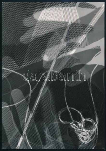 cca 1960 Fotogram, jelzés nélküli vintage fotó ezüst zselatinos fotópapíron, dr. Sevcsik Jenő (1899-1996) fényképész, szaktanár, szakíró hagyatékából, 12,1x17,4 cm