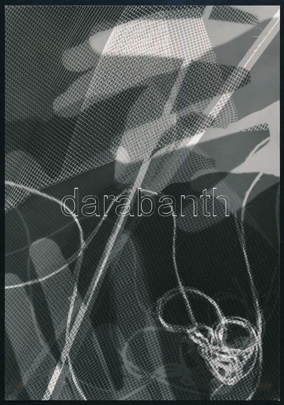 cca 1960 Fotogram, jelzés nélküli vintage fotó ezüst zselatinos fotópapíron, dr. Sevcsik Jenő (1899-1996) fényképész, szaktanár, szakíró hagyatékából, 12,1x17,4 cm