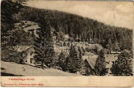 1907 Feketehegyfürdő, Feketehegy, Cernohorské kúpele (Merény, Vondrisel, Nálepkovo); látkép. Lomnitzy V. kiadása / general view (EB)