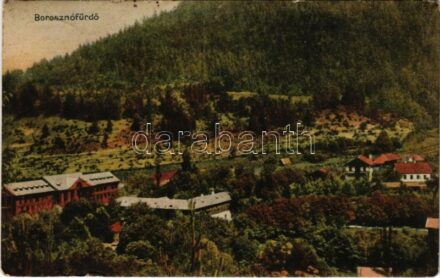 1910 Borosznó-fürdő, Brusznó, Brusno-kúpele; fürdő látképe / spa