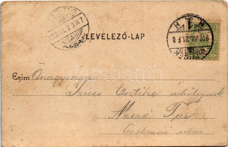 1902 Újvidék, Novi Sad; látkép az Erzsébet szigetről / general view (fl) - Image 2