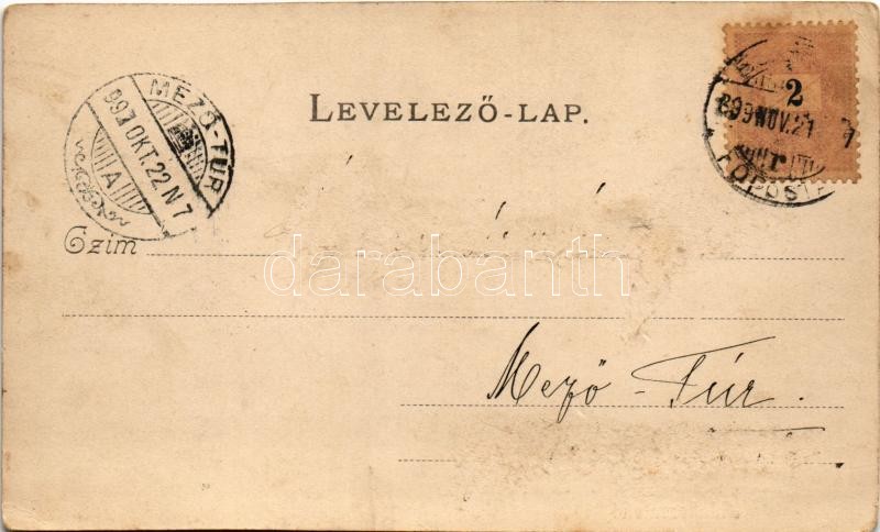 1899 (Vorläufer) Budapest VIII. Ferenc József tanítók háza (vágott / cut) - Image 2