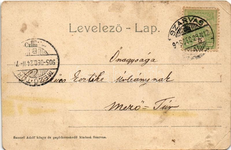 1905 Szarvas, Kir. Járásbíróság. Sámuel Adolf kiadása (vágott / cut) - Image 2