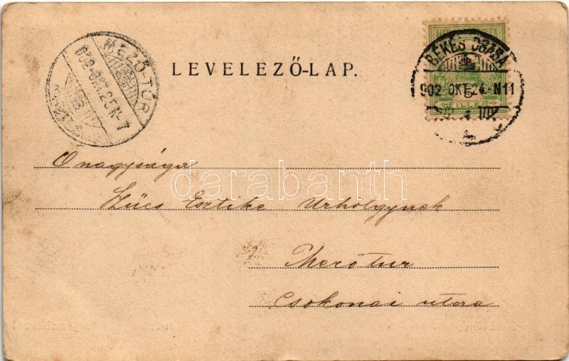 1902 Békéscsaba, Széchenyi kert. Corvina könyvkereskedés kiadása (EK) - Image 2