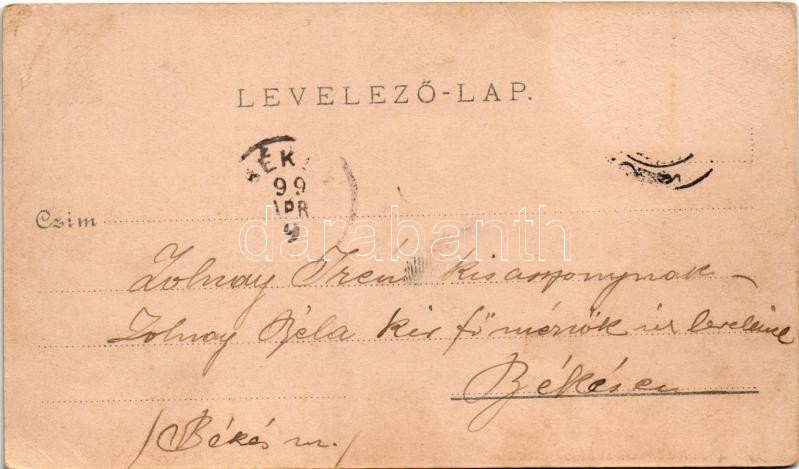 1899 (Vorläufer) Arad, Vértanú szobor, Színház, lóvasút, Városháza. Lengyel Lipót kiadása / statue, monument, town hall, horse-drawn tram. Art Nouveau, floral, litho (EB) - Image 2